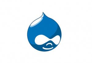 Drupal Based Portals Drupal Based Portals